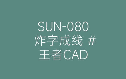 SUN-080 炸字成线 #王者CAD-博士钣金 - www.bsbanjin.com