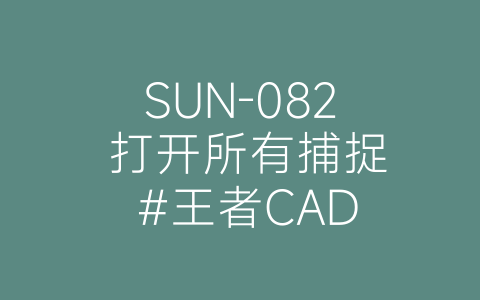 SUN-082 打开所有捕捉 #王者CAD-博士钣金 - www.bsbanjin.com