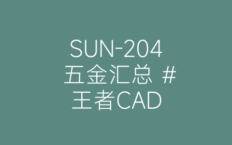 SUN-204 五金汇总 #王者CAD-博士钣金 - www.bsbanjin.com
