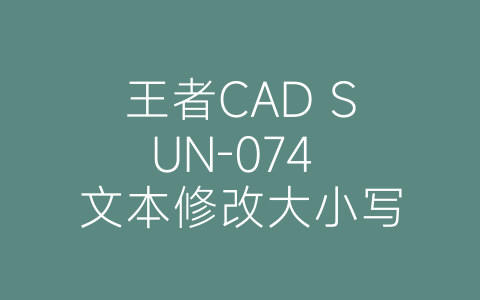 王者CAD SUN-074 文本修改大小写-博士钣金 - www.bsbanjin.com