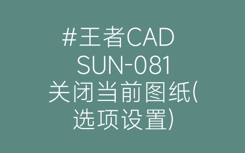 #王者CAD SUN-081关闭当前图纸(选项设置)-博士钣金 - www.bsbanjin.com
