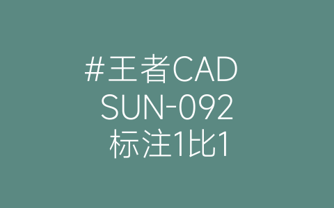 #王者CAD SUN-092标注1比1-博士钣金 - www.bsbanjin.com