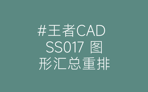 #王者CAD SS017 图形汇总重排-博士钣金 - www.bsbanjin.com