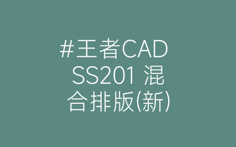 #王者CAD SS201 混合排版(新)-博士钣金 - www.bsbanjin.com
