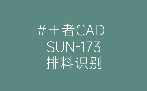 #王者CAD SUN-173排料识别-博士钣金 - www.bsbanjin.com