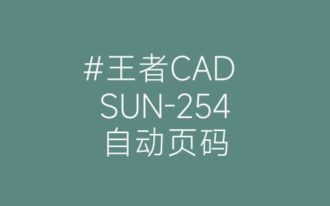 #王者CAD SUN-254自动页码-博士钣金 - www.bsbanjin.com