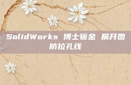 SolidWorks 博士钣金 展开图防拉孔线