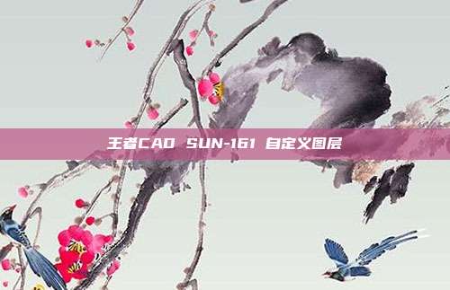 王者CAD SUN-161 自定义图层