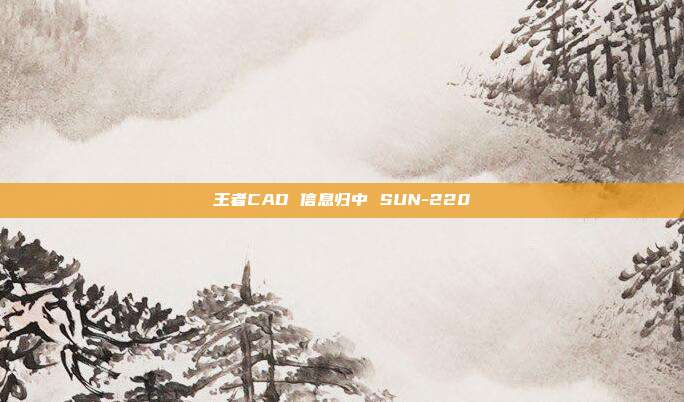 王者CAD 信息归中 SUN-220